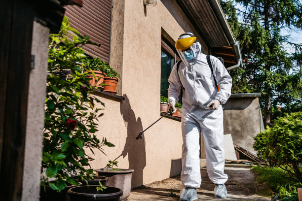 Best Termite Control Services  in Lakes East, CT