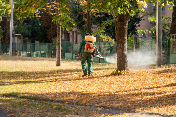 Best Affordable Pest Control Services  in Lakes East, CT