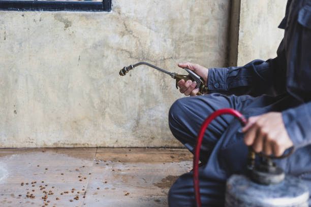 Best Pest Removal Services  in Lakes East, CT